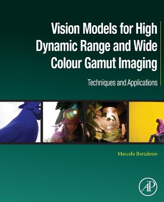 Vision Models for High Dynamic Range and Wide Colour Gamut Imaging: Techniques and Applications book