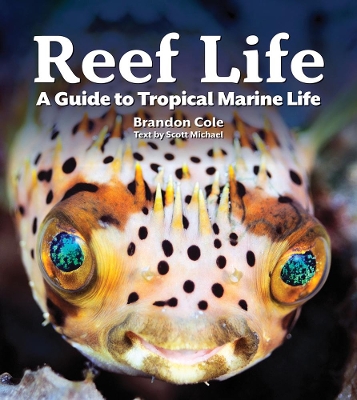 Reef Life: A Guide to Tropical Marine Life book