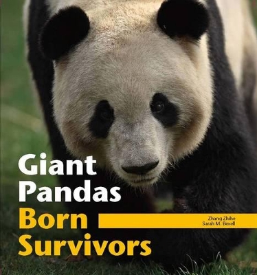 Giant Pandas: Born Survivors book