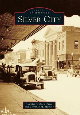 Silver City book