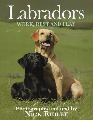 Labradors book