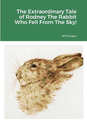 The Extraordinary Tale of Rodney The Rabbit Who Fell From The Sky book