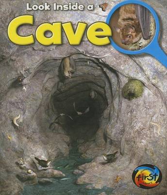 Cave by Richard Spilsbury