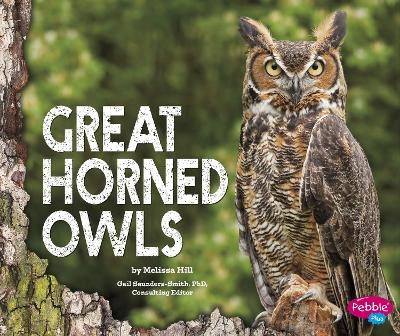 Great Horned Owls book