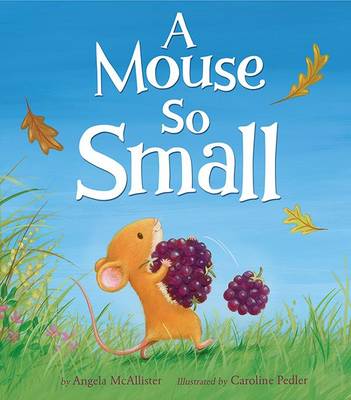 A Mouse So Small by Angela McAllister