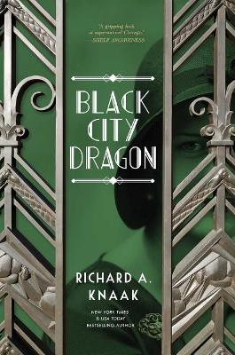 Black City Dragon book