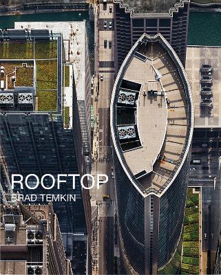 Brad Temkin - Rooftop book