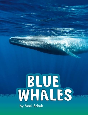 Blue Whales book