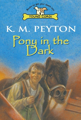 Pony In The Dark book