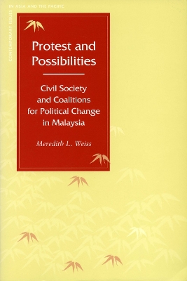 Protest and Possibilities by Meredith L. Weiss