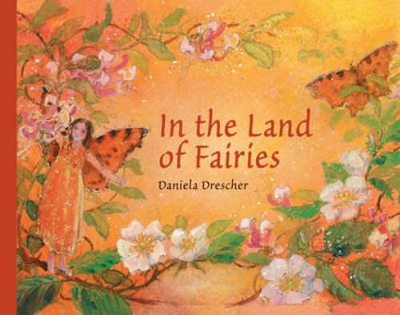 In the Land of Fairies book