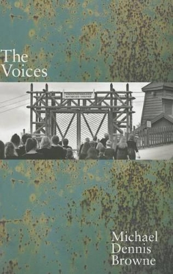 Voices book