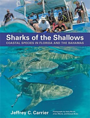Sharks of the Shallows book