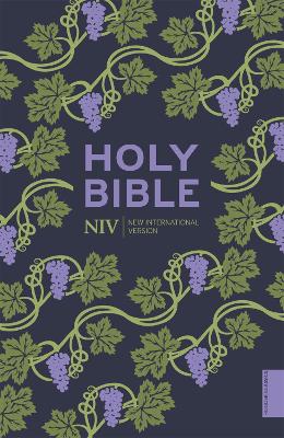 NIV Holy Bible (Hodder Classics) book