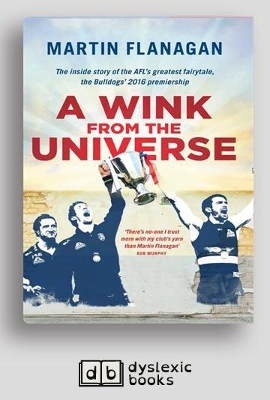 A A Wink From the Universe by Martin Flanagan