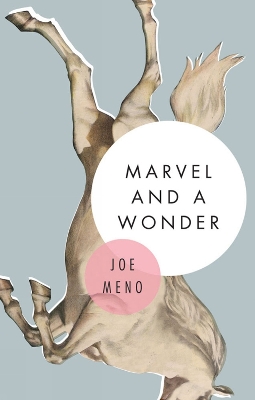 Marvel And A Wonder book