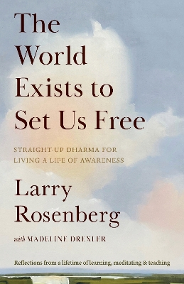 The World Exists to Set Us Free: Straight-Up Dharma for Living a Life of Awareness book