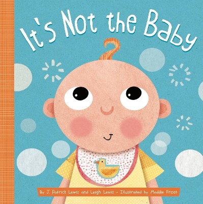 It's Not the Baby book