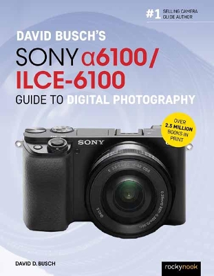 David Busch’s Sony Alpha a6100/ILCE-6100 Guide to Digital Photography book