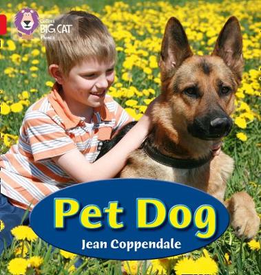 PET DOG book