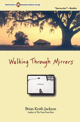 Walking Through Mirrors book