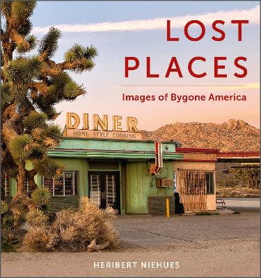 Lost Places: Images of Bygone America book