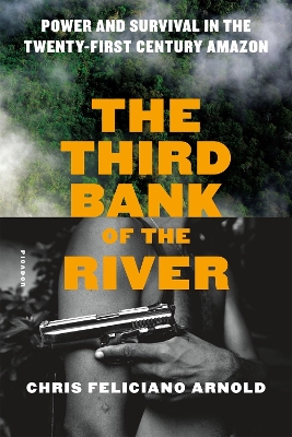 Third Bank of the River book