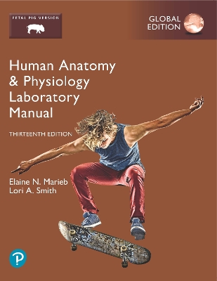 Human Anatomy & Physiology Laboratory Manual, Fetal Pig Version, Global Edition book