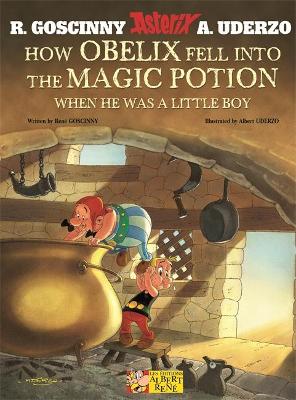 Asterix: How Obelix Fell into the Magic Potion book