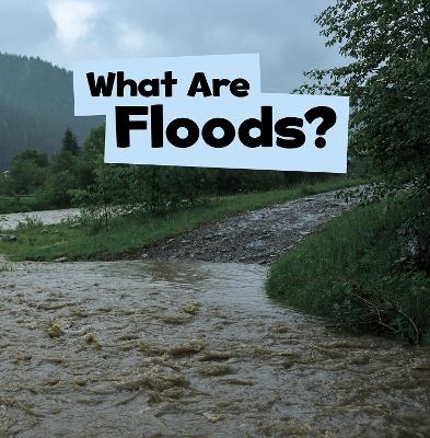 What Are Floods? by Mari Schuh