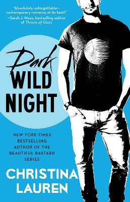 Dark Wild Night book