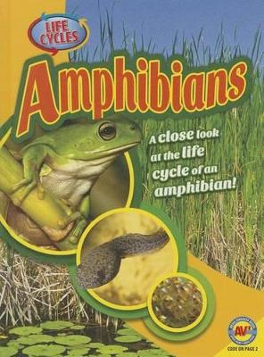 Amphibians by Jack Zayarny