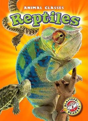 Reptiles by Kari Schuetz