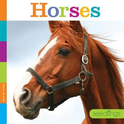 Seedlings: Horses book