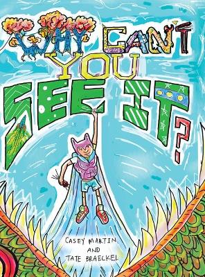 Why Can't You See It? book