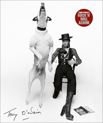 Terry O'Neill's Rock 'n' Roll Album book