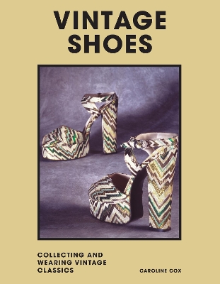 Vintage Shoes: Collecting and wearing designer classics book