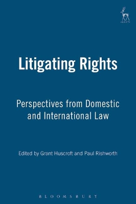 Litigating Rights: Perspectives from Domestic and International Law book