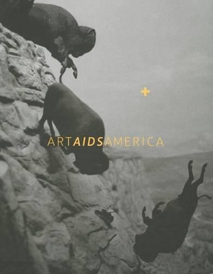 Art AIDS America book