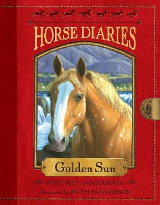 Horse Diaries #5 book