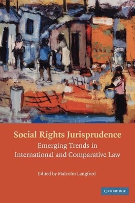Social Rights Jurisprudence book