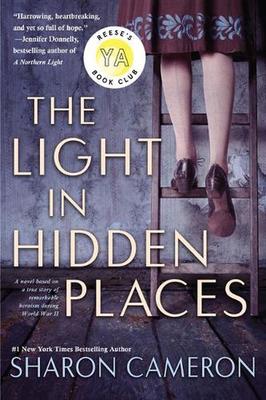 The Light in Hidden Places book