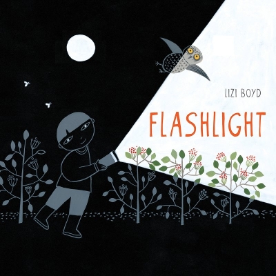 Flashlight book