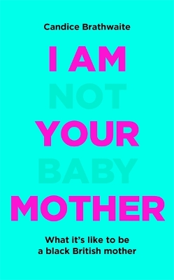 I Am Not Your Baby Mother book