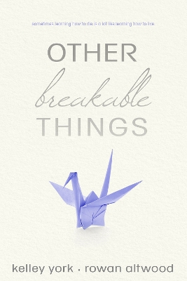 Other Breakable Things book