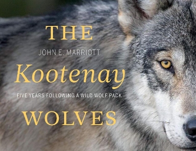 The Kootenay Wolves: Five Years Following a Wild Wolf Pack book