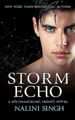 Storm Echo: Book 6 by Nalini Singh