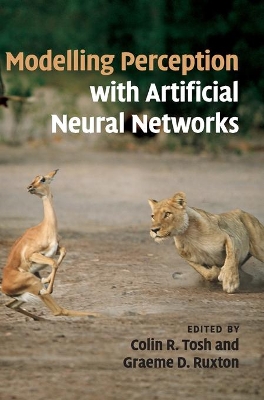 Modelling Perception with Artificial Neural Networks book