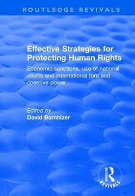 Effective Strategies for Protecting Human Rights book