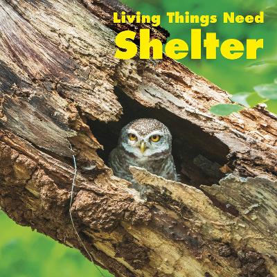 Living Things Need Shelter by Karen Aleo